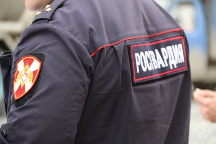 В Саранске по подозрению в повреждении автомобиля росгвардейцами задержан местный житель