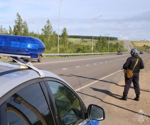 В Мордовии нетрезвому водителю не удалось уйти от сотрудников ДПС и Росгвардии