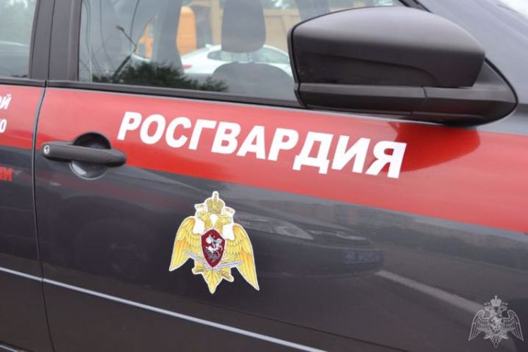 В Мордовии за сутки  росгвардейцы оказали содействие сотрудникам ДПС в задержании двух пьяных водителей