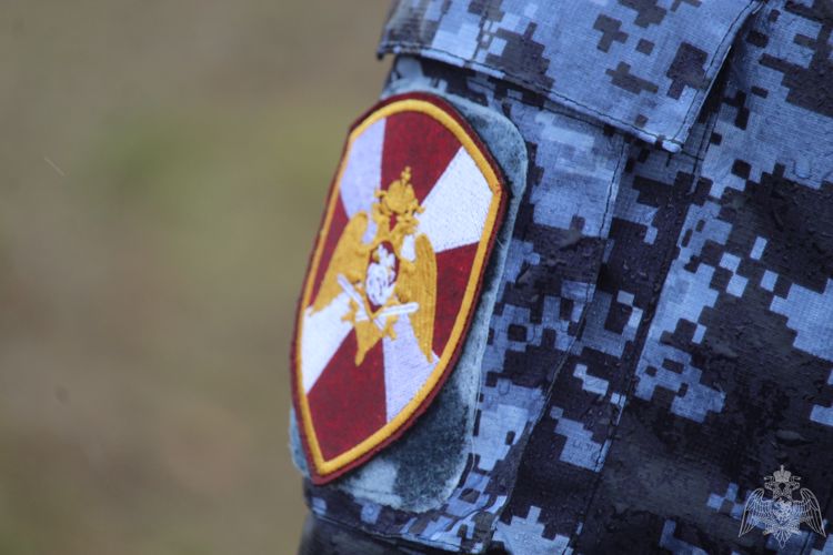В Мордовии сотрудники Росгвардии оказали содействие в задержании нетрезвой автоледи