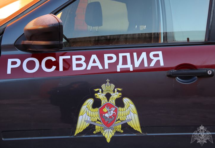В Мордовии росгвардейцы задержали двух нарушителей миграционного законодательства 