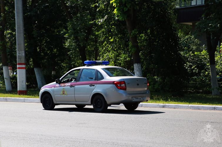 В Саранске сотрудники Росгвардии благодаря бдительности охраны магазина задержали граждан по подозрению в хищении товаров