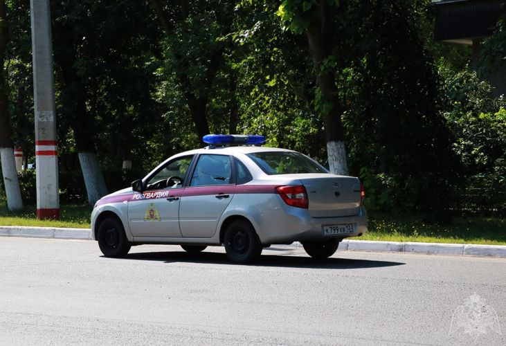 В Ардатовском районе Республики Мордовия росгвардейцы оказали содействие сотрудникам ДПС в задержании пьяного водителя