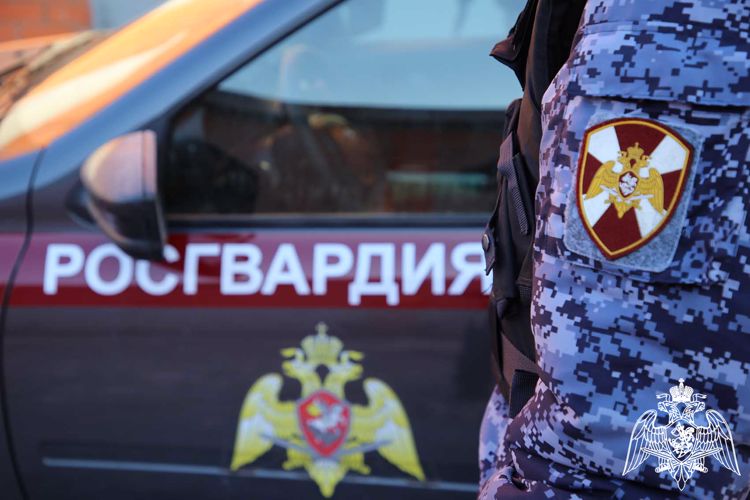 В Мордовии за выходные росгвардейцы выявили двух пьяных водителей