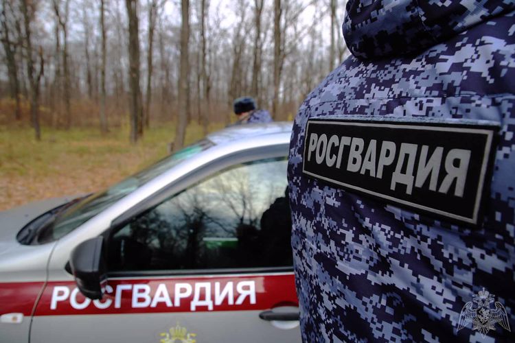 В Рузаевке росгвардейцы задержали пьяного водителя, врезавшегося в стену здания
