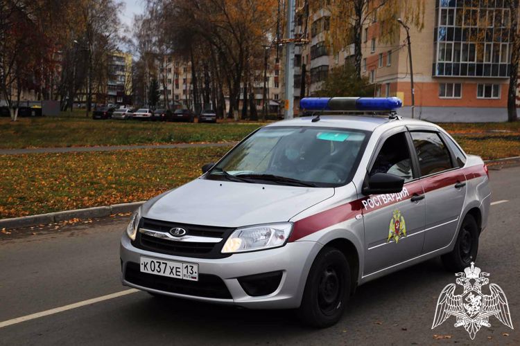 В Мордовии росгвардейцы оказали содействие сотрудникам ДПС в задержании пьяного водителя