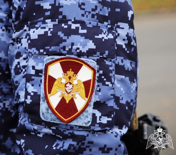 В Мордовии росгвардейцы задержали граждан, подозреваемых в нанесении побоев
