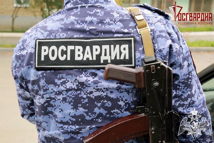 В Зубово-Полянском районе сотрудники Росгвардии задержали мужчину, управлявшего автомобилем в состоянии алкогольного опьянения