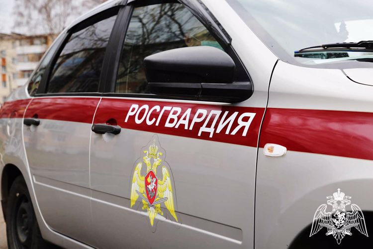 В Зубово-Поляне росгвардейцы выявили и задержали пьяного водителя
