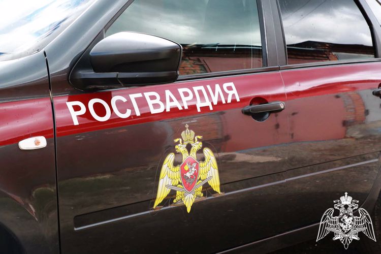 В Саранске сотрудники Росгвардии задержали граждан по подозрению в хищении   