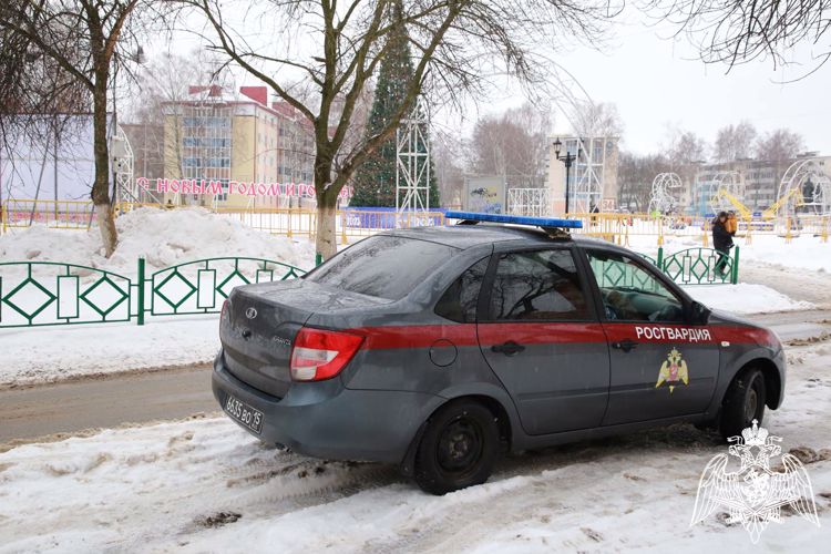 В Мордовии сотрудники Росгвардии задержали гражданку по подозрению в нанесении побоев