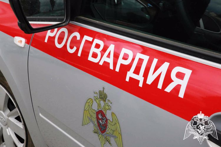 В Саранске росгвардейцы задержали гражданку по подозрению в грабеже