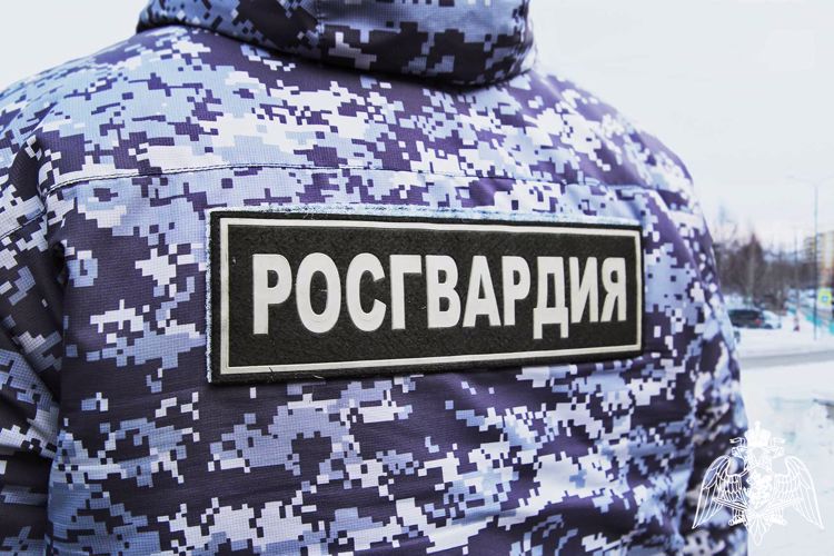 В Саранске сотрудники Росгвардии задержали мужчину по подозрению в хищении товарно-материальных ценностей