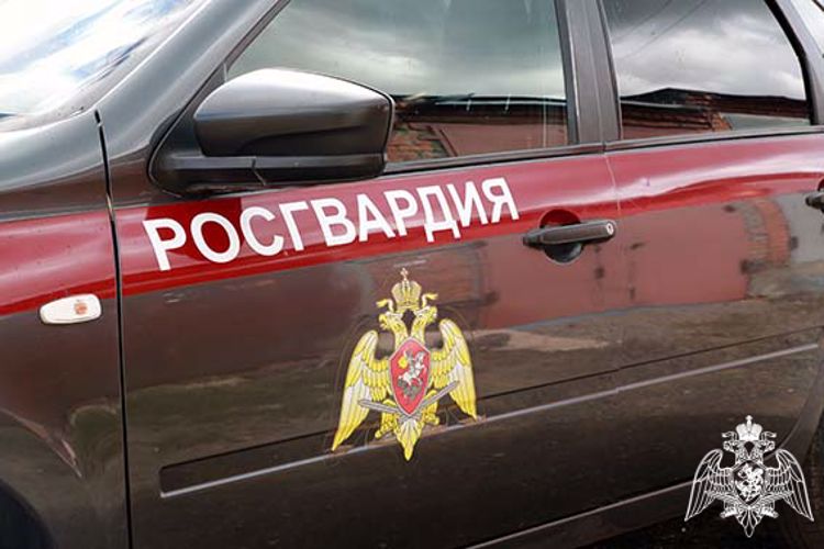 В Мордовии росгвардейцы задержали гражданку, по подозрению в нанесении побоев