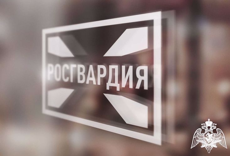 В Мордовии подвели итоги лицензионно-разрешительной работы Росгвардии 
