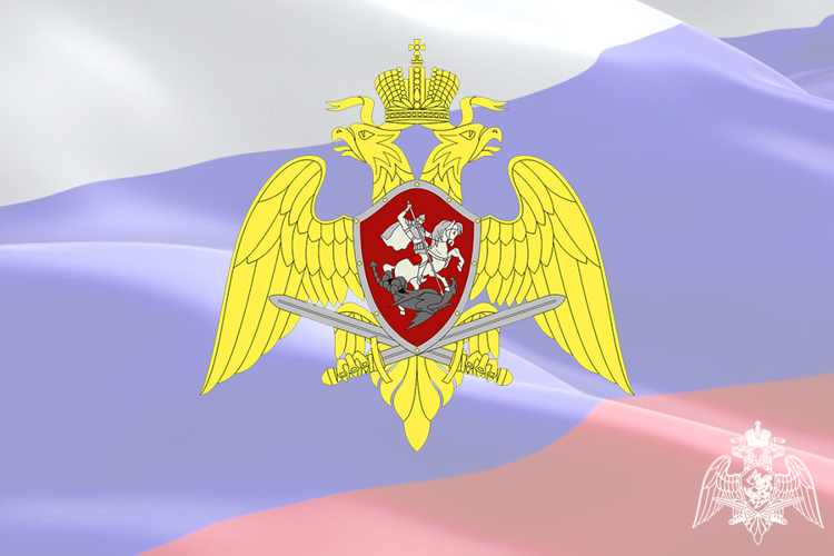 В Мордовии сотрудниками Росгвардии за прошедшую неделю изъяты 15 единиц оружия