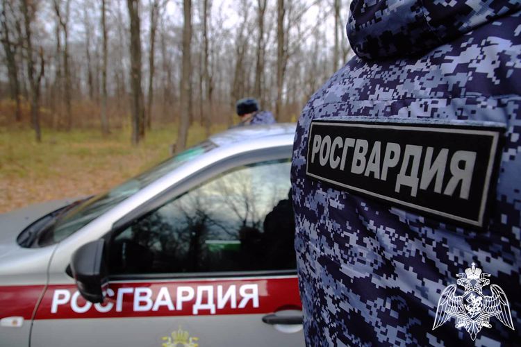 В Комсомольском росгвардейцы совместно с сотрудниками ГИБДД  задержали пьяного водителя
