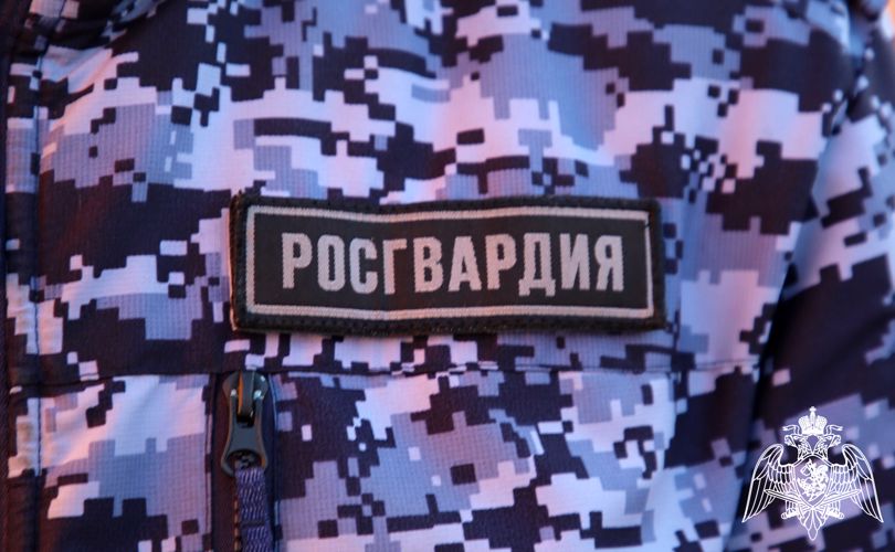В Саранске росгвардейцы задержали граждан по подозрению в повреждении  чужого имущества