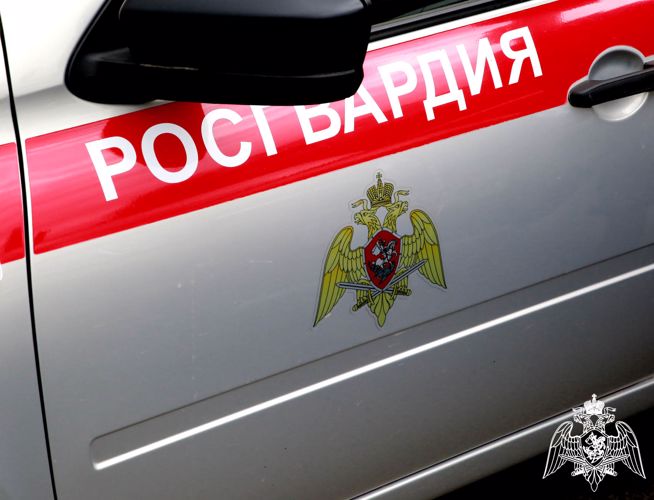 В Саранске росгвардейцы задержали гражданина по подозрению в совершении  противоправных действий 