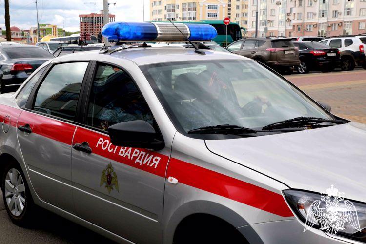 В Мордовии росгвардейцы задержали очередного правонарушителя