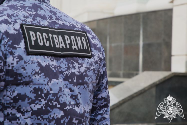 В Рузаевке росгвардейцы задержали дебошира