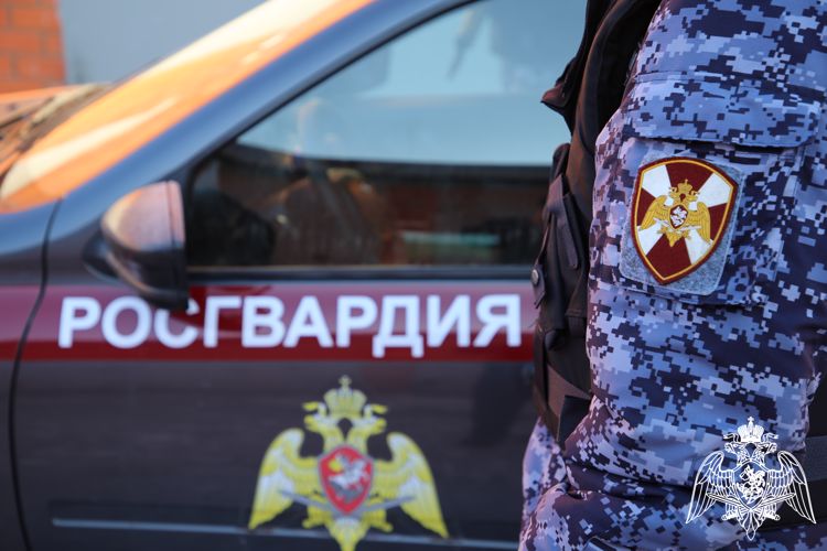 В Саранске росгвардейцы пресекли мелкое хищение в сетевом магазине 