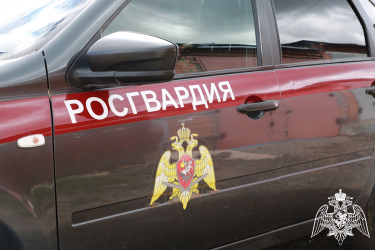 В Саранске росгвардейцы пресекли мелкое хищение в гипермаркете 