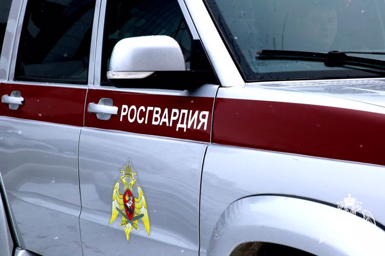 В Мордовии в мае росгвардейцы 123 раза выезжали по сигналу "тревога"