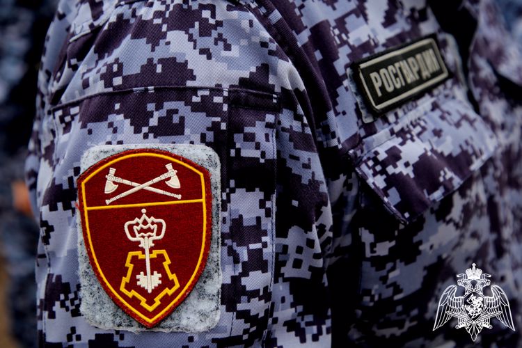 В Саранске росгвардейцы задержали гражданку по подозрению в совершении противоправных действий