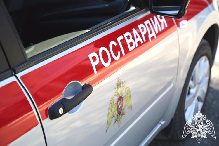 В Ардатове экипаж Росгвардии задержал мужчину, находившегося в федеральном розыске