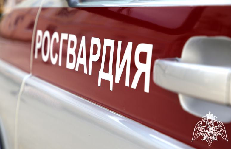 В Саранске росгвардейцами задержан  пьяный водитель