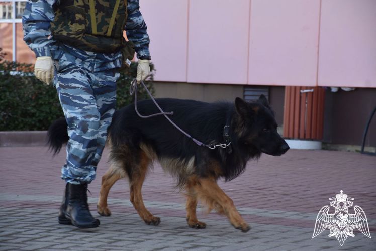 В Мордовии росгвардейцы проверили безопасность образовательных учреждений
