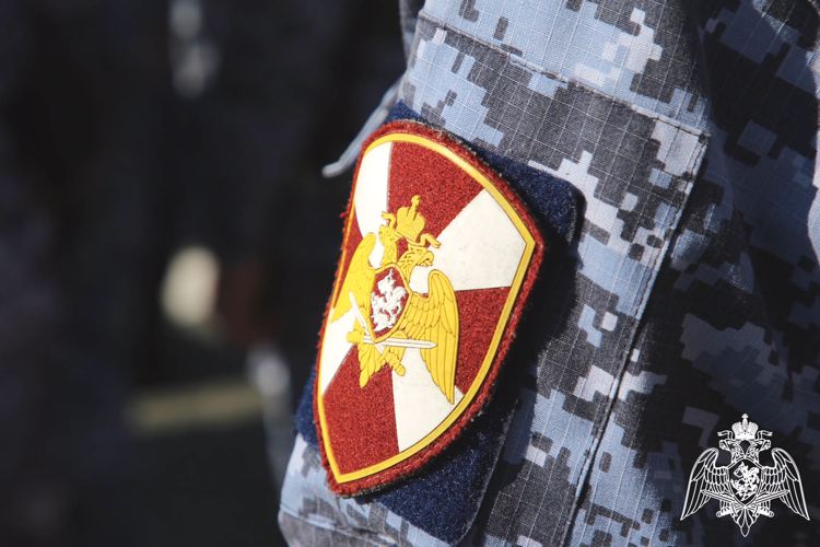 В Саранске росгвардейцы задержали гражданина по подозрению в повреждении имущества