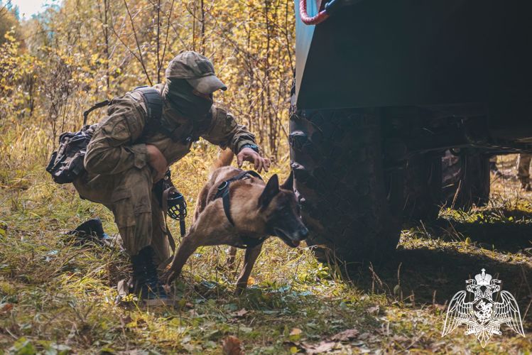 В Мордовии готовится к эфиру 6-й выпуск ведомственного медиапроекта «Я росгвардеец»