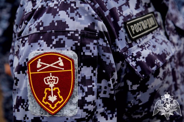 В Саранске сотрудники Росгвардии задержали гражданина по подозрению в нанесении побоев