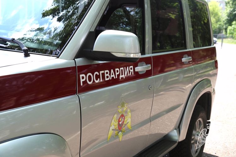 В Саранске экипаж Росгвардии задержал уличного дебошира