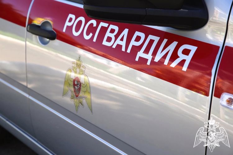 В Саранске росгвардейцы задержали местного жителя по подозрению в повреждении имущества