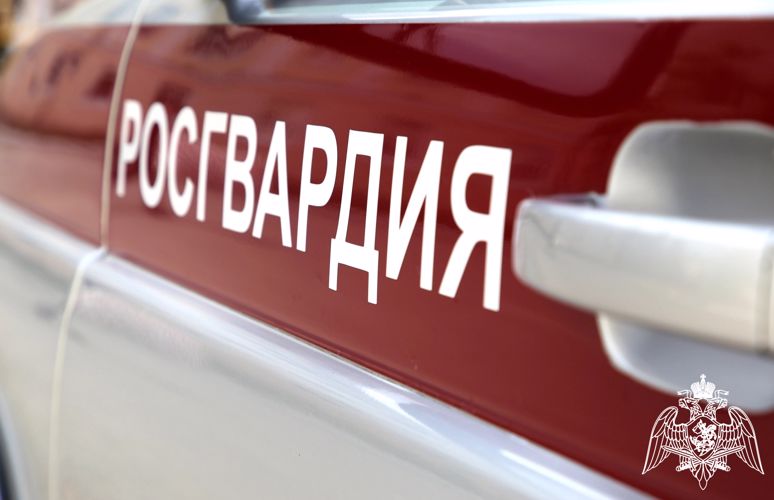 В Саранске росгвардейцы задержали двух дебоширов