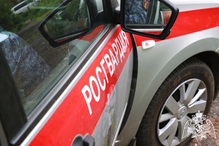В Саранске экипаж Росгвардии задержал мужчину повредившего автомобиль