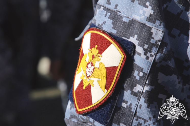 В Саранске экипаж Росгвардии задержал гражданина по подозрению в хищении 