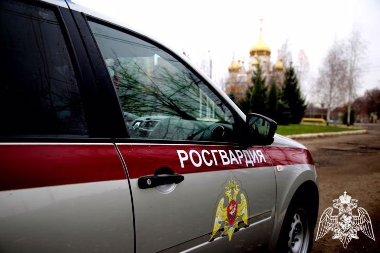 В Мордовии сотрудники Росгвардии задержали двух правонарушителей