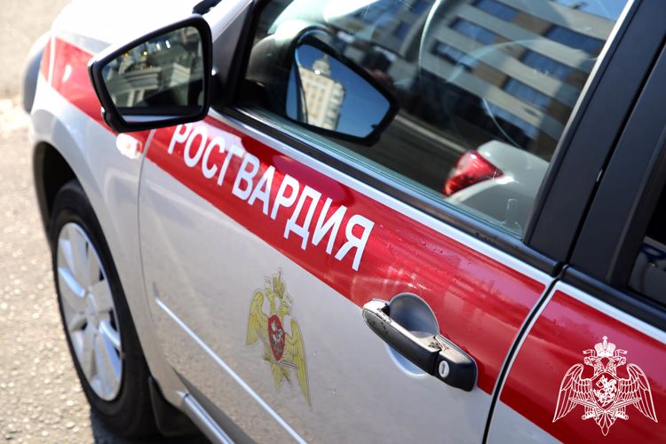 В Мордовии росгвардейцы задержали местного жителя по подозрению в грабеже 