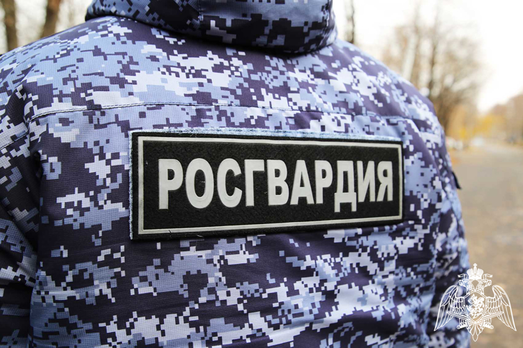 В Мордовии экипаж Росгвардии задержал мужчину за хищение из гипермаркета