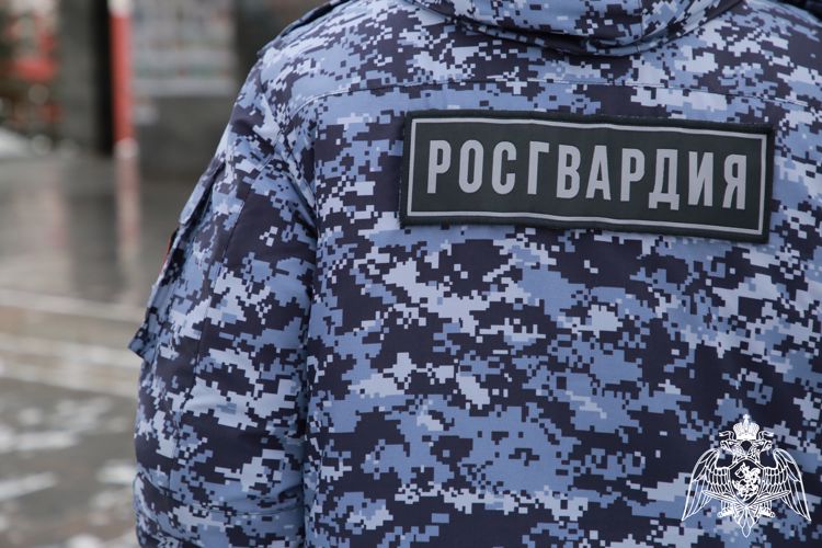 В Саранске росгвардейцы задержали нарушителя правопорядка