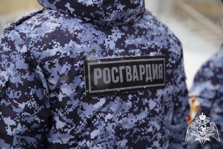 В Мордовии сотрудниками Росгвардии за минувший месяц пресечено более 180 административных правонарушений 