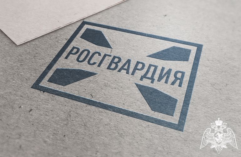 В Мордовии сотрудниками Росгвардии за прошедшую неделю изъяты 5 единиц оружия