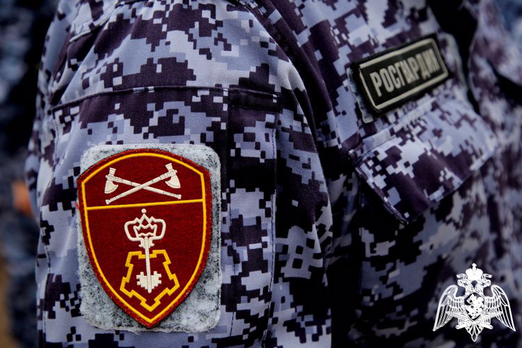 В Мордовии росгвардейцы выявили и задержали пьяного водителя  