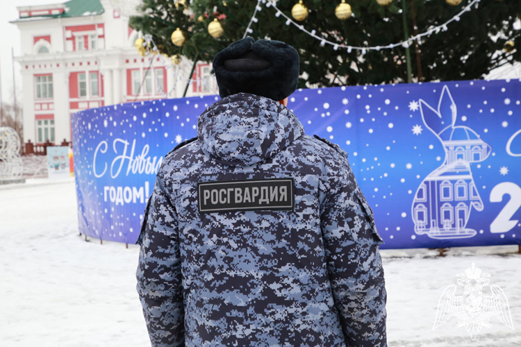 В Мордовии сотрудники Росгвардии примут участие в охране правопорядка в  канун Нового года 