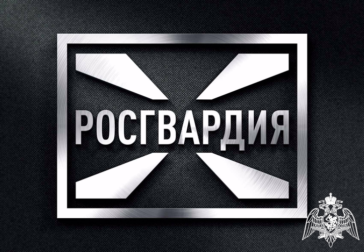 В Мордовии сотрудниками Росгвардии за прошедшую неделю изъяты 7 единиц оружия