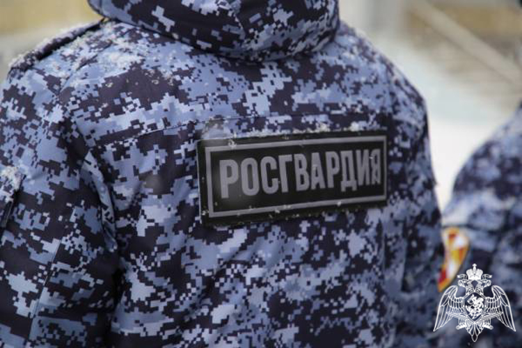 В Мордовии росгвардейцы задержали нетрезвого дебошира